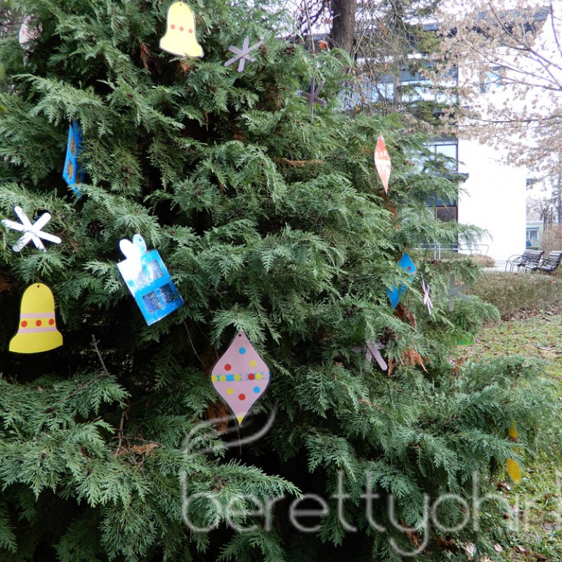 Fenyődíszítés a kórházban 28